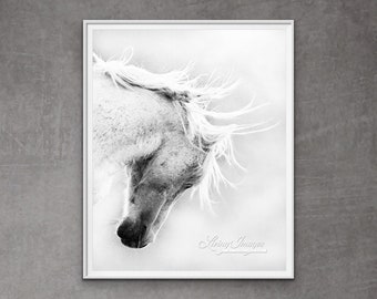 Wild Horse Photography Iconic Wild Stallion - “Freedom's Head Shake”