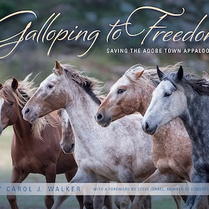May include: A group of five Appaloosa horses running through a field. The horses are all different colours, including brown, white, and grey. The title of the book is "Galloping to Freedom: Saving the Adobe Town Appaloosas" by Carol J. Walker.