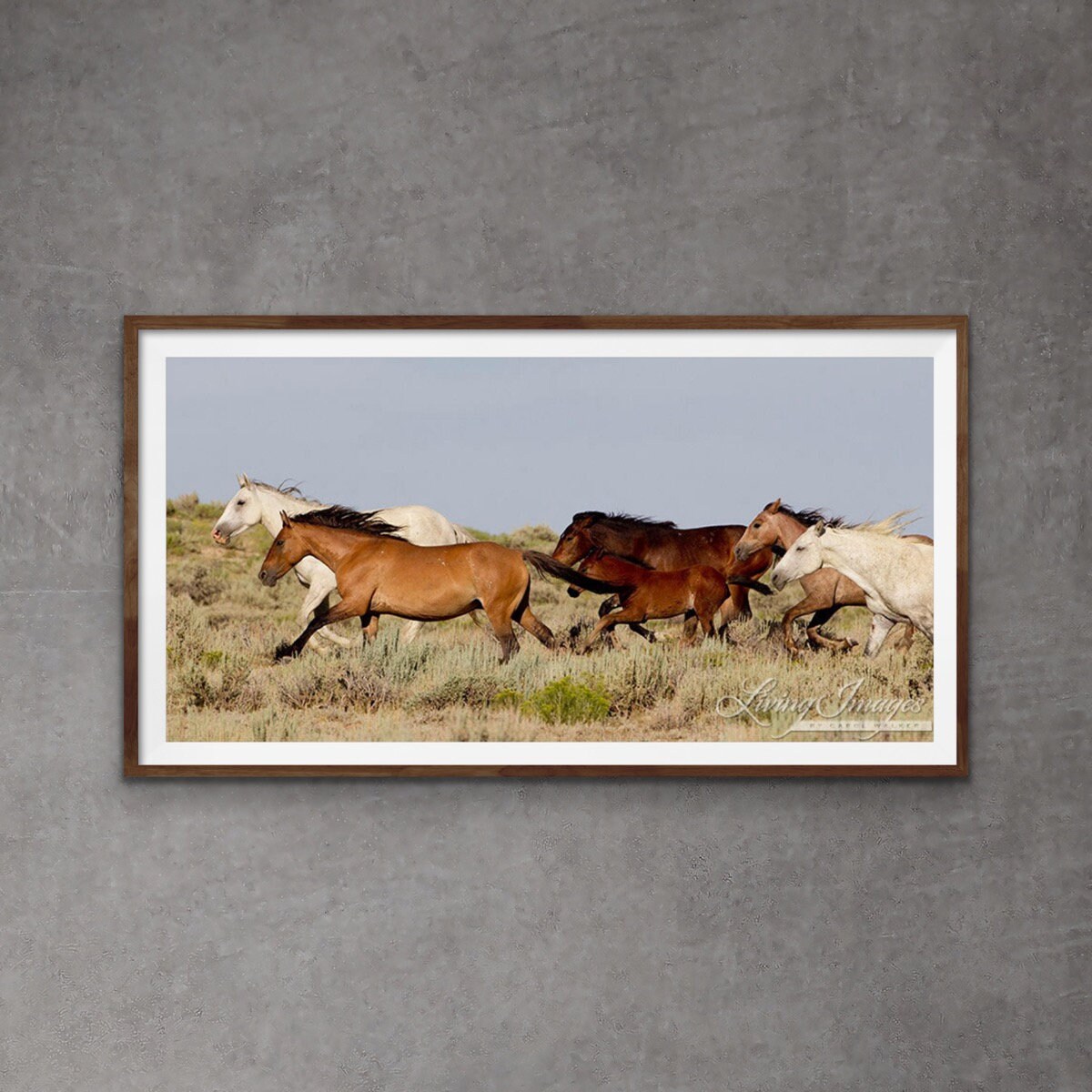 Wild Horse Photography Wild Adobe Town Horse Family Print | Etsy