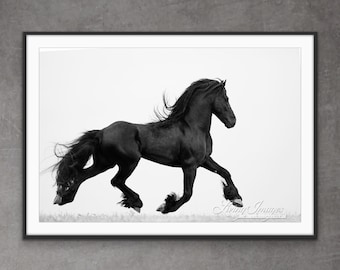 May include: A black Friesian horse runs across a white background. The horse has a long, flowing mane and tail. The horse is in mid-stride, with its legs extended. The horse is running towards the right side of the image.