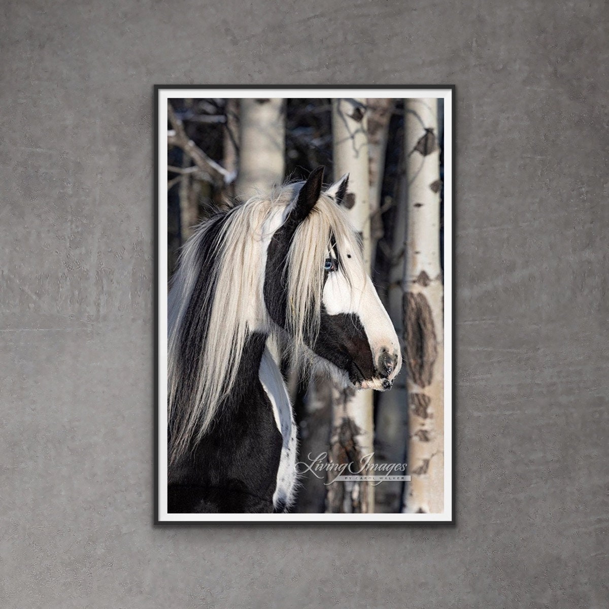 Horse Photography Black and White Horse Print “Gypsy In the Forest”