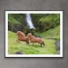 see more listings in the Wild Horse Prints section