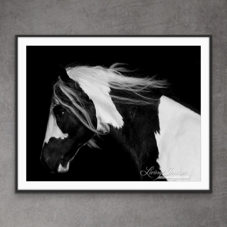 Horse Photography Black and White Gypsy Horse Print Dark Gypsy image 1