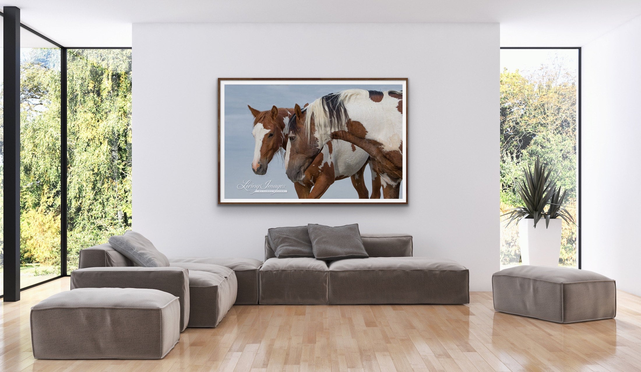 Wild Horse Photography Wild Horse Wall Art Picasso Sand Wash