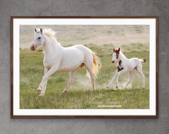 Wild Horse Photography White Mare and Foal Run Print - “Pale Mare and Filly Run Together”