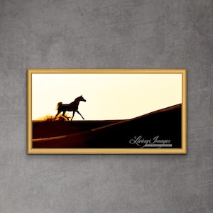 Horse Photography Arabian Horse on Dunes Print -  “Desert Stallion Gallops Across the Dunes II”