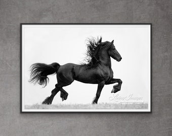 May include: A black Friesian horse with a long flowing mane and tail runs across a field. The horse is in mid-air with its front legs extended. The background is a white sky.