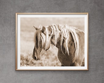 May include: A sepia-toned photograph of a wild horse with a long, flowing mane. The horse is looking down and to the left, with its head slightly tilted. The background is blurred, suggesting a natural setting.