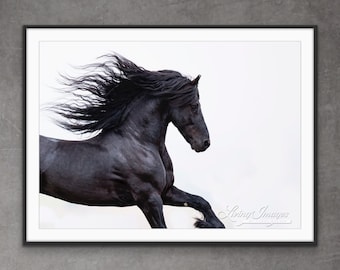 May include: A black Friesian horse with a long flowing mane runs across a white background. The horse's head is turned to the side, and its eyes are closed. The horse's mane is blowing in the wind.