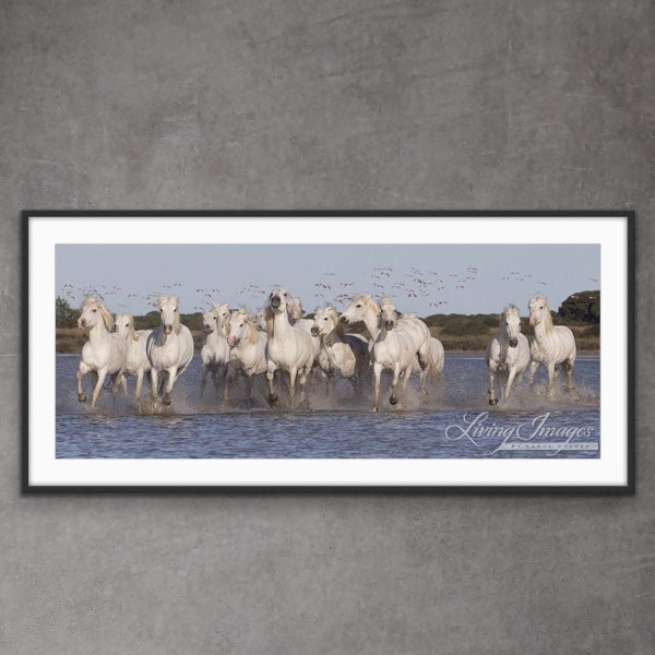 Impression de photographie de chevaux blancs de Camargue - « Chevaux blancs et flamants roses »