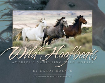 Wild Hoofbeats: America's Vanishing Wild Horses - Fine Art Wild Horse Photographs - Wild Horse