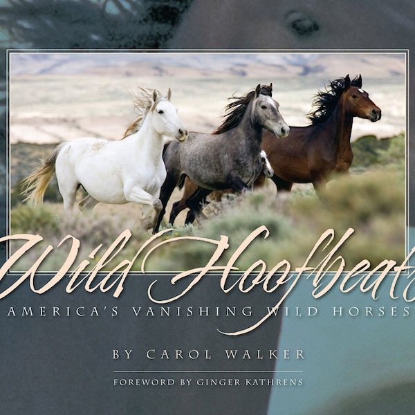Wild Hoofbeats: America's Vanishing Wild Horses Photography  Adobe Town Wild Horse Signed Coffee Table Book