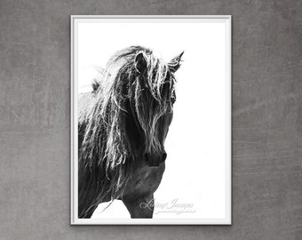 May include: Black and white photograph of a horse's head and neck with long flowing mane. The horse is looking to the right of the frame. The background is white.