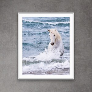 Wild Horse Photography White Camargue Stallion Ocean Print - “The Curve of the White Horse II”