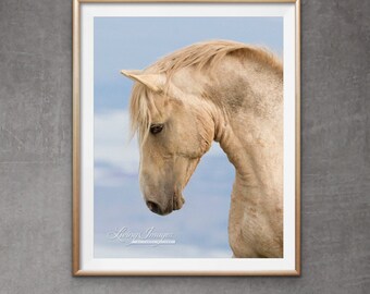 Wild Horse Photography Palomino Stallion Cloud Print - “The Curve of Cloud”
