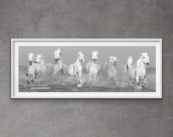 Wild Horse Photography White Camargue Horses Print - “Camargue Horses Running”