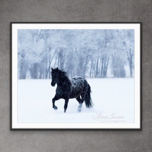 Horse Photography Black Horse Winter Print - “Black Horse in the Falling Snow”