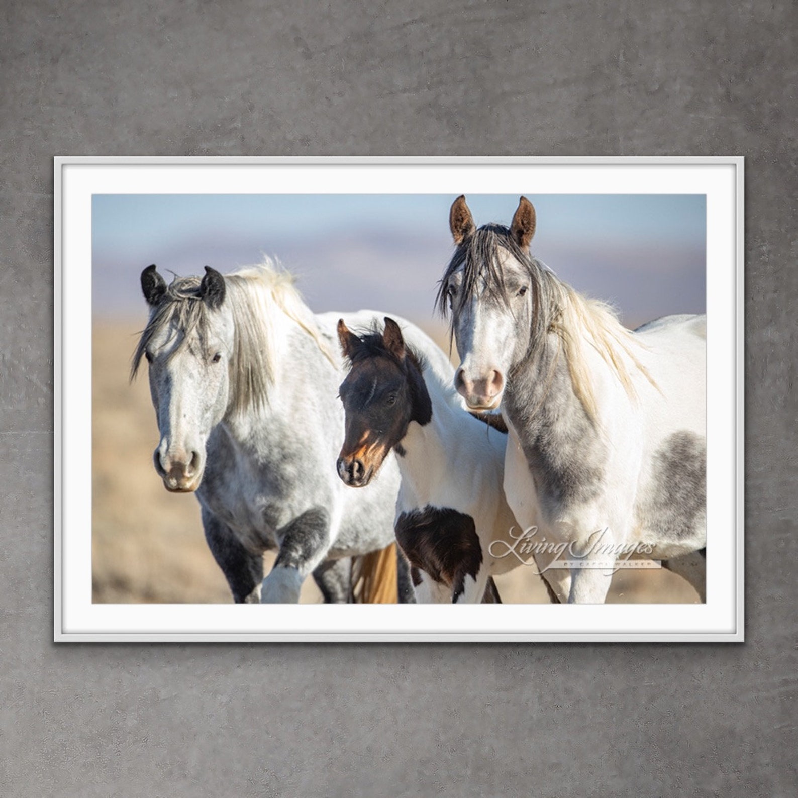 Wild Horse Photography Wild Horse Mares and Foal Print - “painted Wild ...