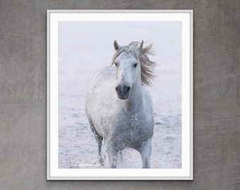 White Horse Runs at Sunrise - Fine Art Horse Photograph - Horse - Camargue - Fine Art Print