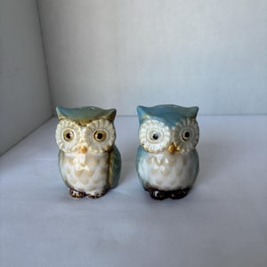 Owl Salt & Pepper Shakers Set of 2 Ceramic Owl Figurines Light Blue\ Tan. B5