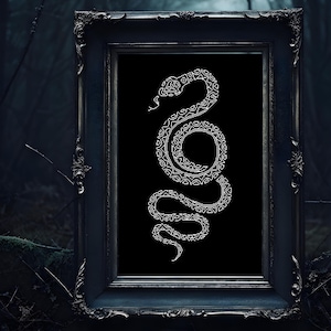 May include: A framed art print featuring a white, stylized snake design on a black background. The snake is intricately patterned with geometric shapes. The frame is ornate and dark, adding a gothic aesthetic to the artwork.