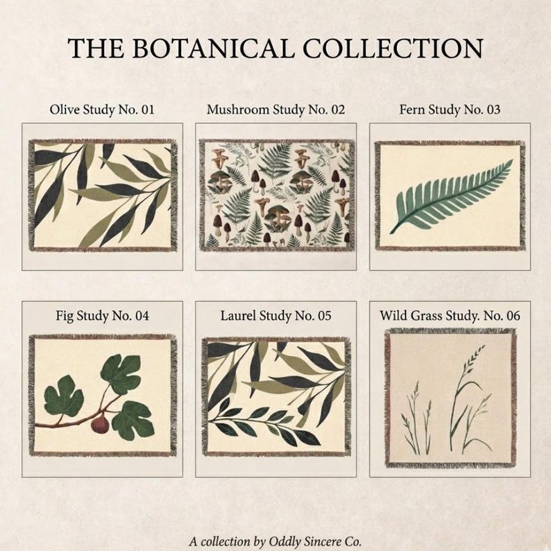 Botanical woven blanket collection showing six Oddly Sincere Co. designs: Olive Study No. 01, Mushroom Study No. 02, Fern Study No. 03, Fig Study No. 04, Laurel Study No. 05, and Wild Grass Study No. 06.