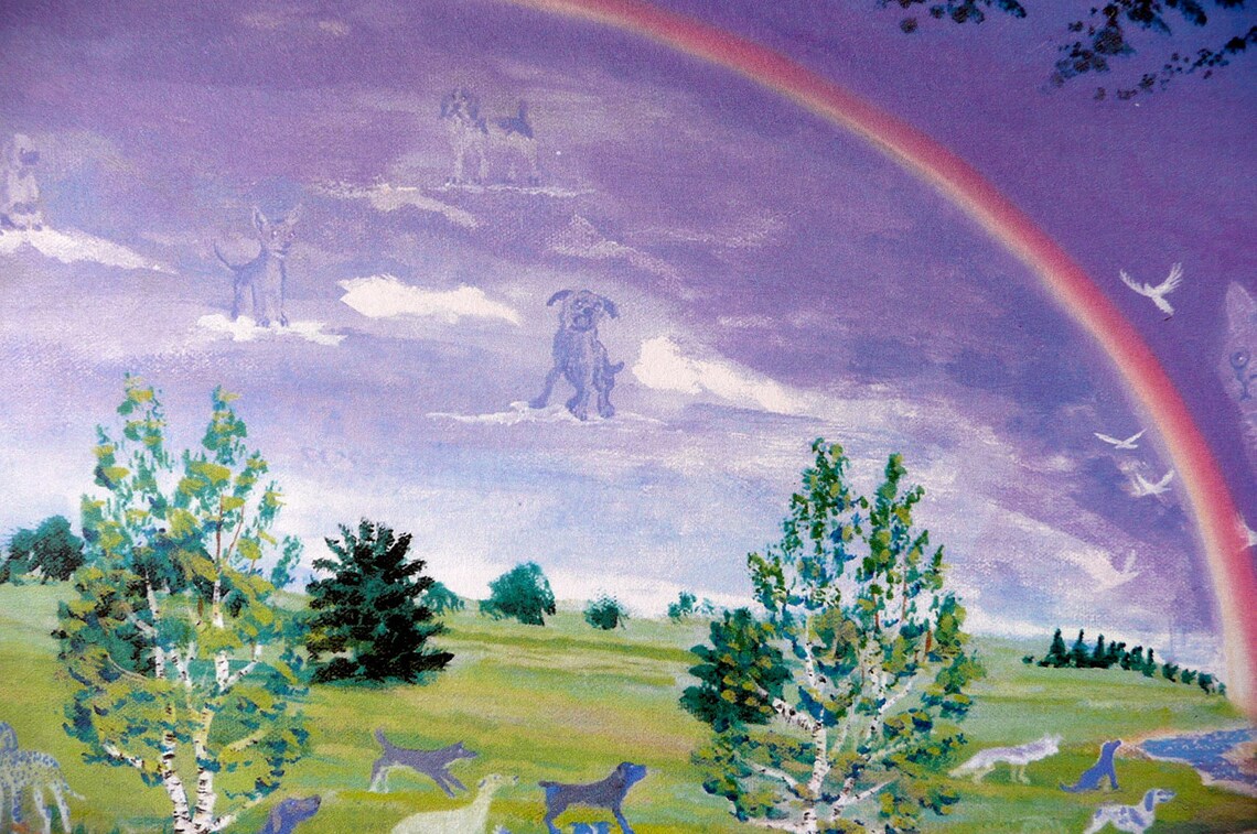 Pet Art , Rainbow Bridge, Native American Art, Dog Cat Horse Bird, Gift