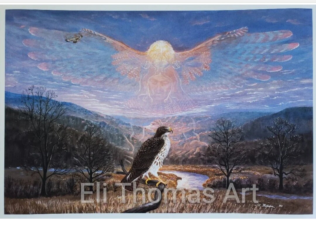 Native American Spirit Animals Hawk