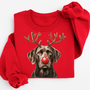 A red sweater with a dog wearing a red nose and antlers printed on it.