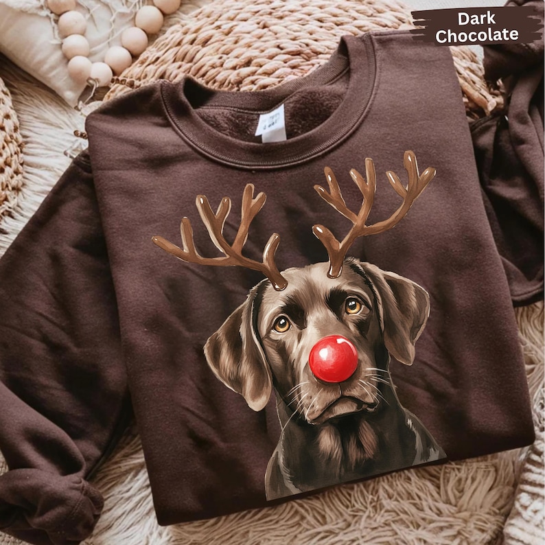 A brown sweater with a picture of a dog wearing antlers and a red nose, resembling a reindeer or a Christmas-themed character.