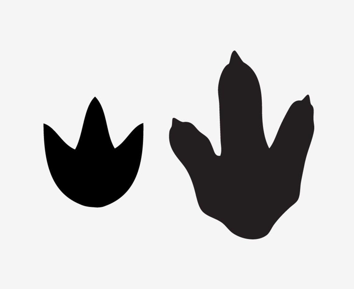 Dino Tracks Dinosaur Footprints Vinyl Wall Decals Etsy