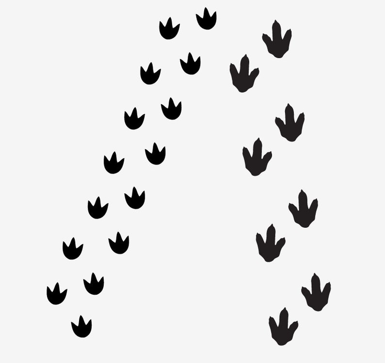 Dino Tracks Dinosaur Footprints Vinyl Wall Decals - Etsy
