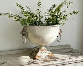 May include: A distressed white urn-shaped planter with lion head handles and a pedestal base. The urn is filled with green and white flowering branches. The planter sits on a white cabinet.