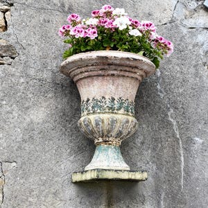 May include: An antique-style, weathered stone planter filled with vibrant pink and white geraniums. The urn-shaped planter features decorative leaf patterns and rests on a small, square base, mounted on a gray stone wall.