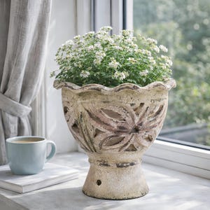 May include: A weathered, beige ceramic planter with a scalloped rim and floral cutouts, filled with a vibrant green plant and small white flowers. A light blue mug sits on a white book next to the planter, near a window.