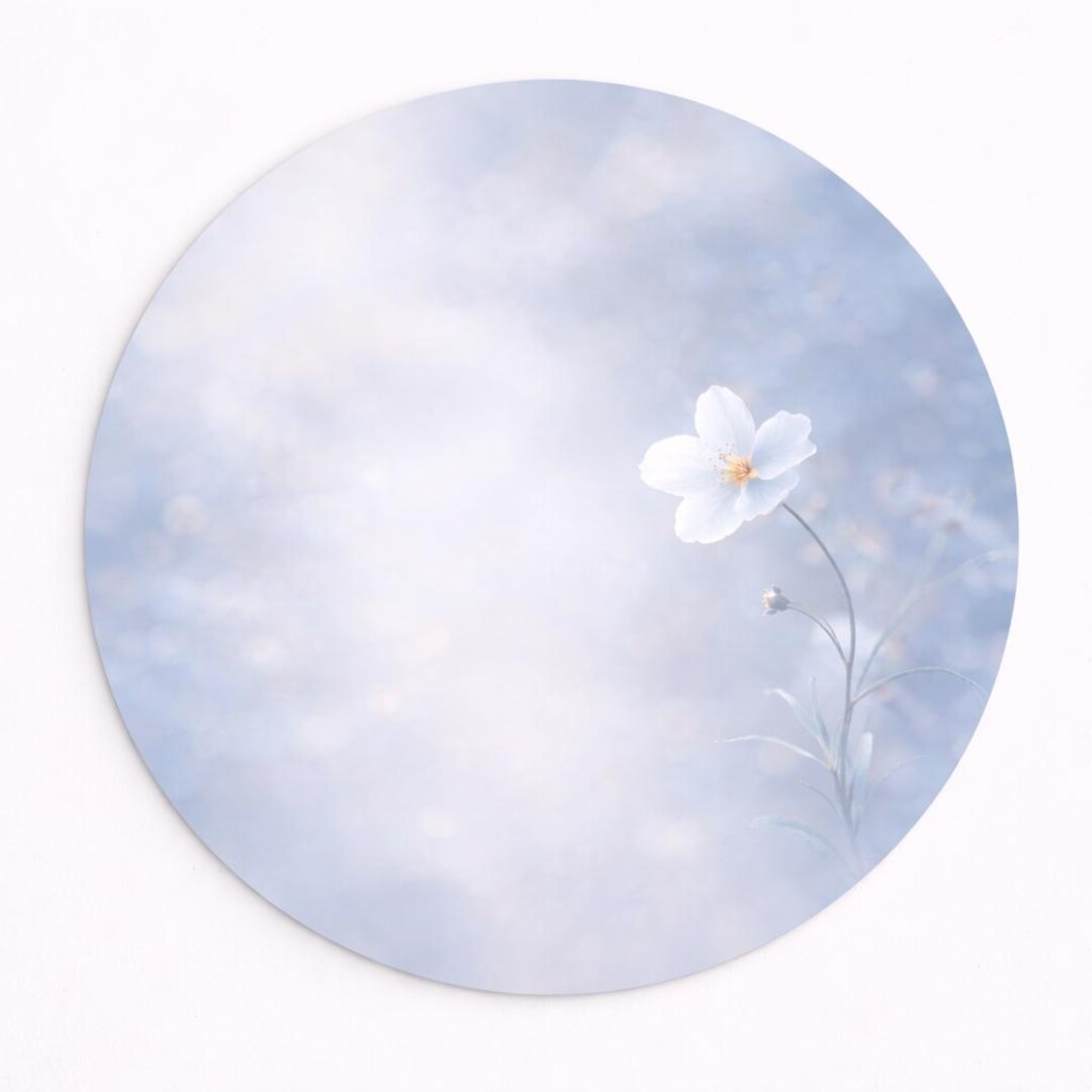 Placemat Set of 4 Pastel – 15 Inch Round Placemat – Soft White Floral ...