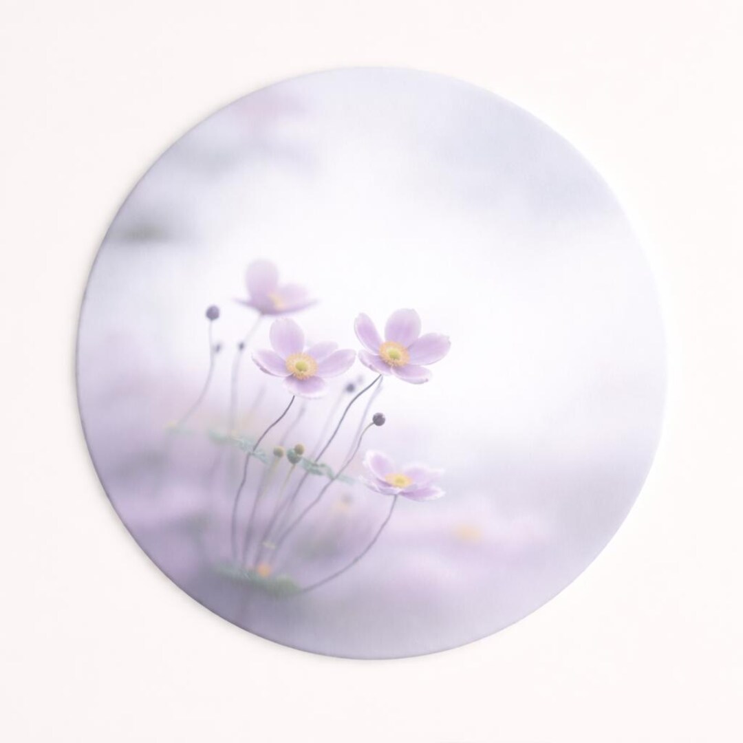 Placemat Set of 4 – 15 Inch Round – Soft Light Lavender Floral ...