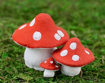 Pocket Mushrooms Set