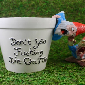 Zombie Gnomes: Don't You F'ing Die On Me Set image 1