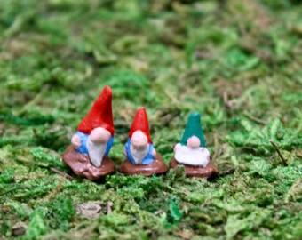 Micro Gnome Set