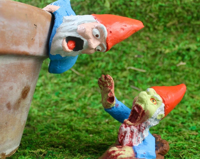 Zombie Gnomes: The So-So Escape