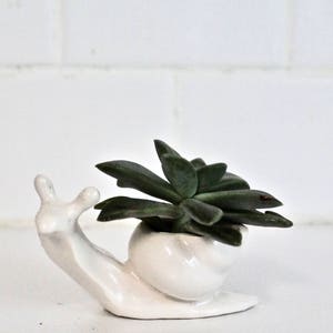White Snail Planter - Small Snail Planter - Succulent Planter - Mini Planter - Tiny Vase