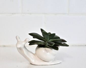 White Snail Planter - Small Snail Planter - Succulent Planter - Mini Planter - Tiny Vase