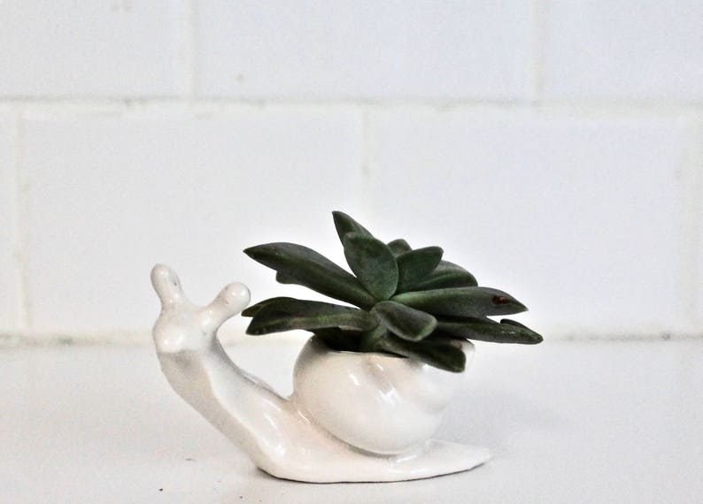 White Snail Planter Small Snail Planter Succulent Planter Mini Planter Tiny Vase image 1