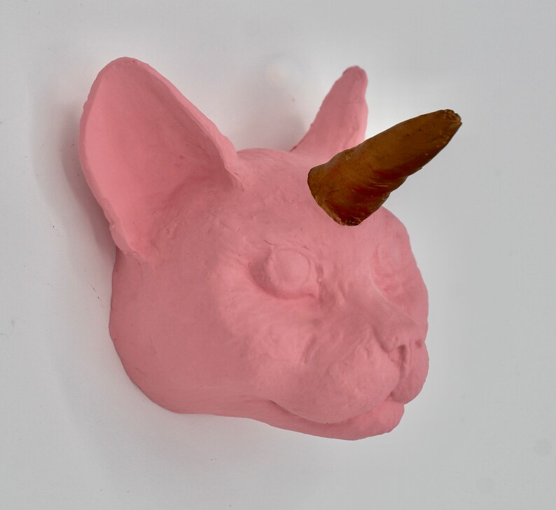 May include: A pink ceramic cat head with a gold horn, a whimsical and decorative wall sculpture.