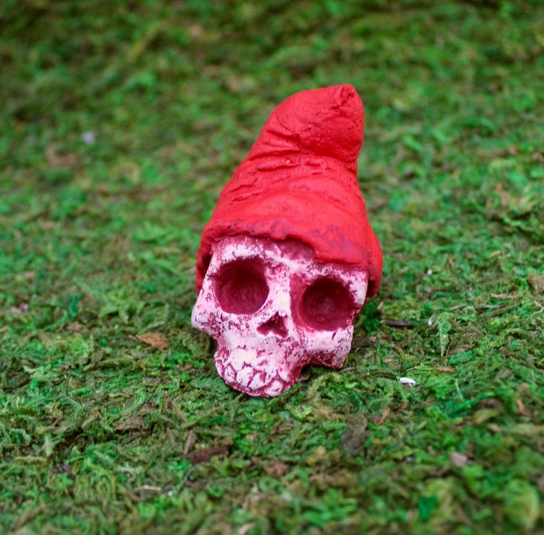 Zombie Gnomes: Poor Unfortuante Skull image 1
