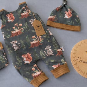 Puede incluir: Un conjunto de ropa de bebé con un estampado de animales del bosque en verde oscuro. El conjunto incluye un pelele, un gorro y patucos con puños y ribetes acanalados marrones. También se incluye un letrero de madera con una ilustración de erizo.