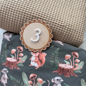 Puede incluir: Un n&uacute;mero tres de madera con un numeral blanco, sobre un borde festoneado, se asienta sobre una tela verde oscuro con un estampado de bosque de ardillas, setas y ratones. Una tela de tejido de gofre beige est&aacute; en el fondo.