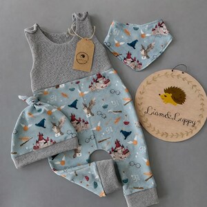 May include: A baby outfit set featuring a gray waffle-knit top and light blue patterned pants with a matching hat and bib. The pattern includes a castle, owls, and other magical elements. A wooden sign with a hedgehog illustration and the text "Liam & Luppy" is also included.