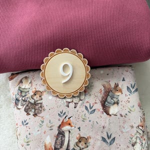 Puede incluir: Un n&uacute;mero nueve de madera con borde festoneado se encuentra sobre una tela rosa con estampado de animales del bosque. La tela es de color rosa claro con ilustraciones de zorros, ardillas y conejos con abrigos.